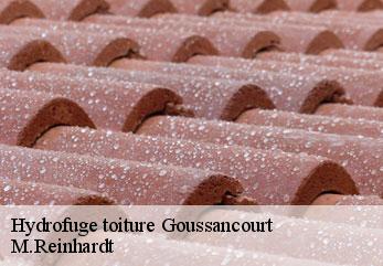 Hydrofuge toiture  goussancourt-02130 M.Reinhardt