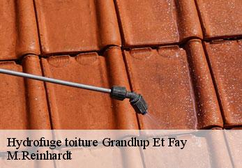 Hydrofuge toiture  grandlup-et-fay-02350 M.Reinhardt