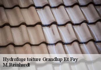 Hydrofuge toiture  grandlup-et-fay-02350 M.Reinhardt
