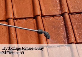 Hydrofuge toiture  guny-02300 M.Reinhardt