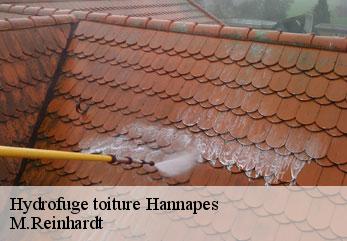 Hydrofuge toiture  hannapes-02510 M.Reinhardt