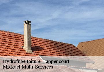 Hydrofuge toiture  happencourt-02480 Harrison Spengler couvreur 02