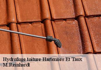 Hydrofuge toiture hartennes-et-taux-02210 M.Reinhardt