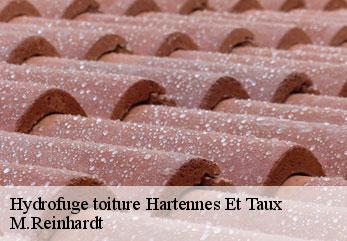 Hydrofuge toiture hartennes-et-taux-02210 M.Reinhardt