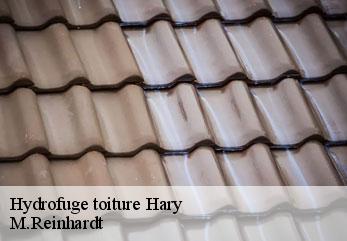 Hydrofuge toiture hary-02140 M.Reinhardt