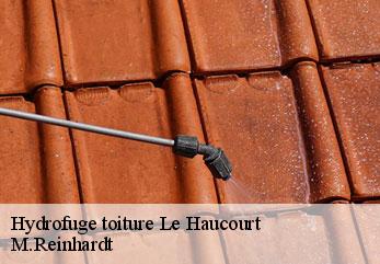 Hydrofuge toiture  le-haucourt-02420 M.Reinhardt