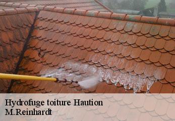 Hydrofuge toiture  haution-02140 M.Reinhardt