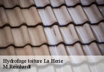 Hydrofuge toiture  la-herie-02500 M.Reinhardt