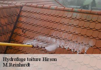 Hydrofuge toiture  hirson-02500 M.Reinhardt