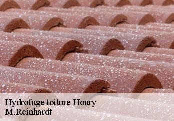 Hydrofuge toiture  houry-02140 M.Reinhardt