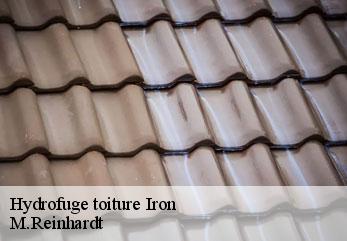 Hydrofuge toiture  iron-02510 M.Reinhardt