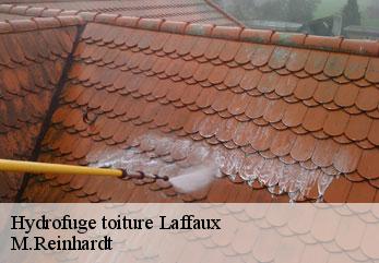 Hydrofuge toiture  laffaux-02880 M.Reinhardt