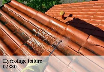 Hydrofuge toiture  leury-02880 M.Reinhardt