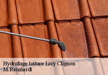 Hydrofuge toiture  licy-clignon-02810 M.Reinhardt