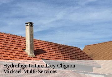 Hydrofuge toiture licy-clignon-02810 Mickael Multi-Services