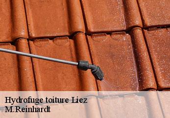 Hydrofuge toiture liez-02700 M.Reinhardt