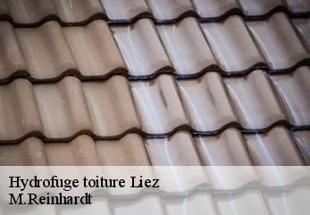 Hydrofuge toiture  liez-02700 M.Reinhardt