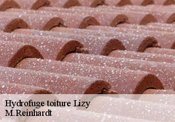 Hydrofuge toiture  lizy-02320 M.Reinhardt