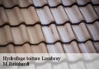 Hydrofuge toiture  lombray-02300 M.Reinhardt