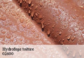 Hydrofuge toiture  longpont-02600 M.Reinhardt