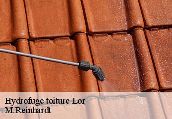 Hydrofuge toiture lor-02190 M.Reinhardt