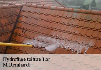 Hydrofuge toiture lor-02190 M.Reinhardt