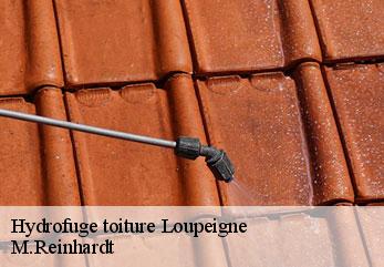 Hydrofuge toiture loupeigne-02130 M.Reinhardt