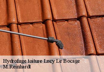 Hydrofuge toiture  lucy-le-bocage-02400 M.Reinhardt
