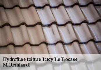 Hydrofuge toiture  lucy-le-bocage-02400 M.Reinhardt