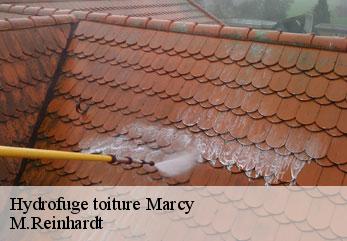 Hydrofuge toiture  marcy-02720 M.Reinhardt