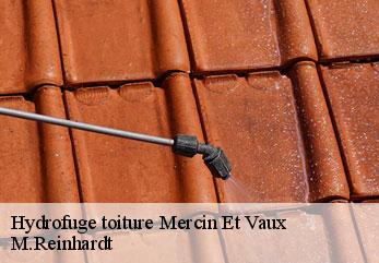 Hydrofuge toiture  mercin-et-vaux-02200 M.Reinhardt