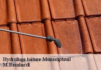 Hydrofuge toiture  monampteuil-02000 M.Reinhardt