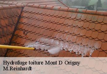 Hydrofuge toiture  mont-d-origny-02390 M.Reinhardt