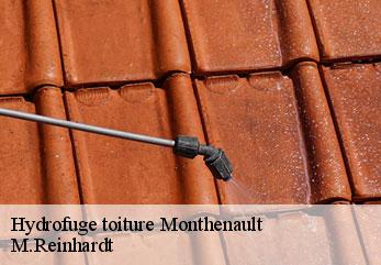 Hydrofuge toiture monthenault-02860 M.Reinhardt