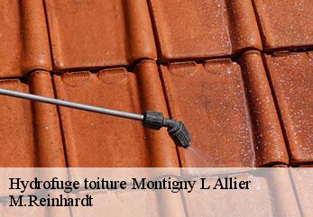 Hydrofuge toiture  montigny-l-allier-02810 M.Reinhardt
