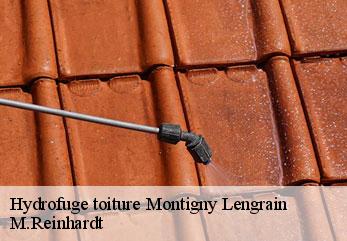 Hydrofuge toiture  montigny-lengrain-02290 M.Reinhardt