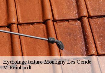 Hydrofuge toiture  montigny-les-conde-02330 M.Reinhardt