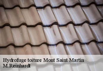 Hydrofuge toiture mont-saint-martin-02220 M.Reinhardt