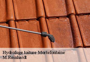 Hydrofuge toiture  mortefontaine-02600 M.Reinhardt