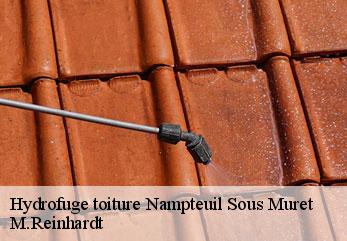 Hydrofuge toiture  nampteuil-sous-muret-02200 M.Reinhardt