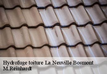 Hydrofuge toiture  la-neuville-bosmont-02250 M.Reinhardt