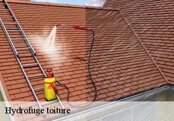 Hydrofuge toiture  neuville-sur-margival-02880 M.Reinhardt