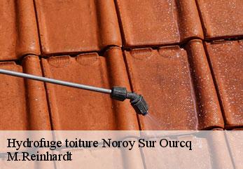 Hydrofuge toiture  noroy-sur-ourcq-02600 M.Reinhardt