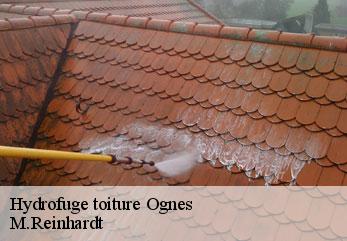 Hydrofuge toiture  ognes-02300 M.Reinhardt