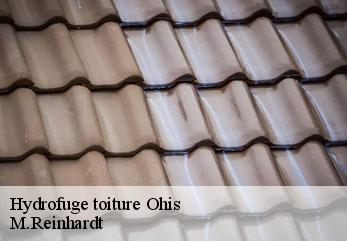 Hydrofuge toiture  ohis-02500 M.Reinhardt