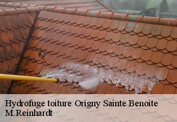 Hydrofuge toiture  origny-sainte-benoite-02390 M.Reinhardt