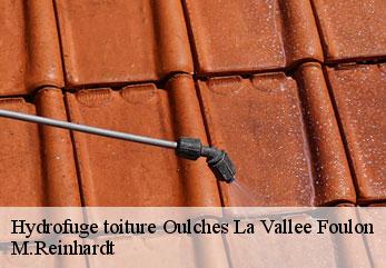Hydrofuge toiture  oulches-la-vallee-foulon-02160 M.Reinhardt