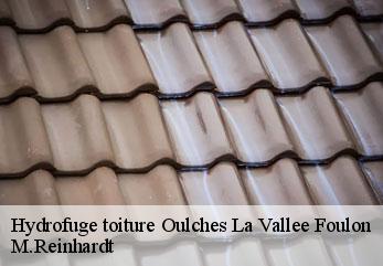 Hydrofuge toiture  oulches-la-vallee-foulon-02160 M.Reinhardt