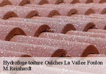 Hydrofuge toiture  oulches-la-vallee-foulon-02160 M.Reinhardt
