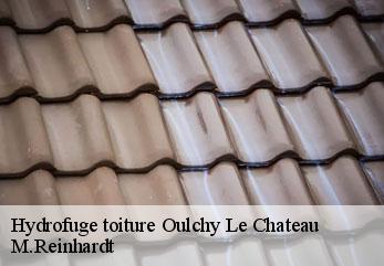 Hydrofuge toiture  oulchy-le-chateau-02210 M.Reinhardt